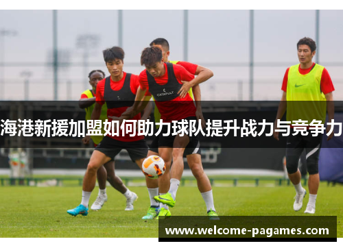 海港新援加盟如何助力球队提升战力与竞争力