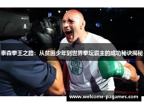 泰森拳王之路：从贫困少年到世界拳坛霸主的成功秘诀揭秘