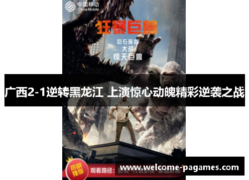 广西2-1逆转黑龙江 上演惊心动魄精彩逆袭之战