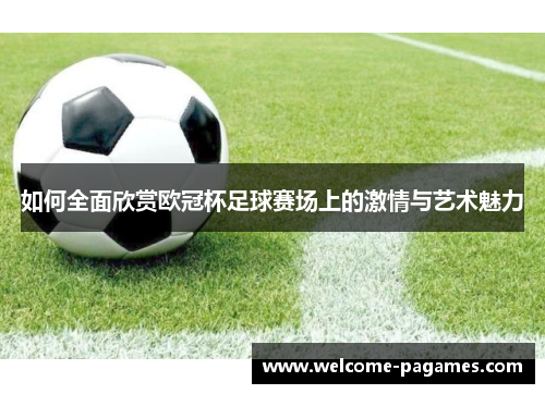 如何全面欣赏欧冠杯足球赛场上的激情与艺术魅力