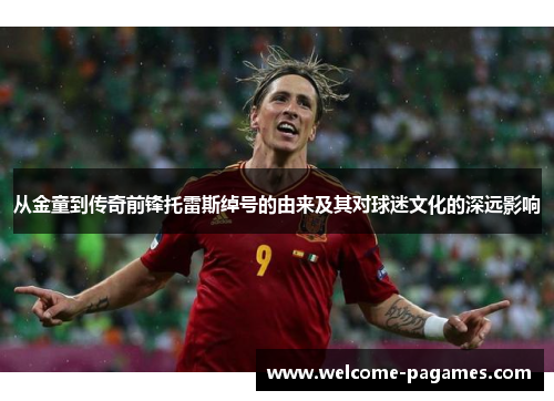 从金童到传奇前锋托雷斯绰号的由来及其对球迷文化的深远影响