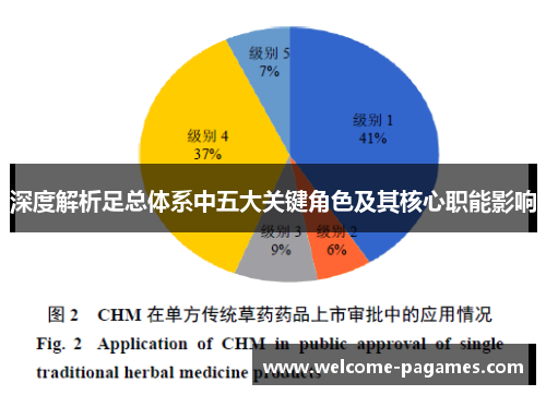 深度解析足总体系中五大关键角色及其核心职能影响