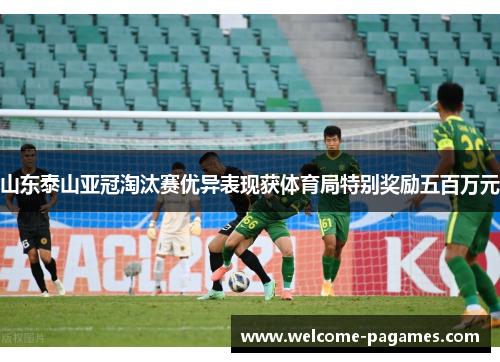 山东泰山亚冠淘汰赛优异表现获体育局特别奖励五百万元