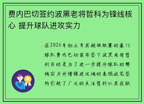 费内巴切签约波黑老将哲科为锋线核心 提升球队进攻实力 费内巴切签约波黑老将哲科为锋线核心 提升球队进攻实力